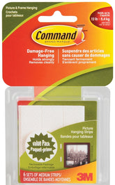 17204C MED PIC HANGING STRIPS